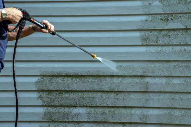 Animal Enclosure Cleaning in Mokena, IL